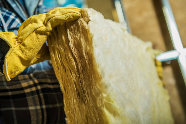 Best Insulation Inspection Services  in Old Brookville, NY