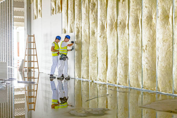 Best Insulation Replacement Services  in Old Brookville, NY